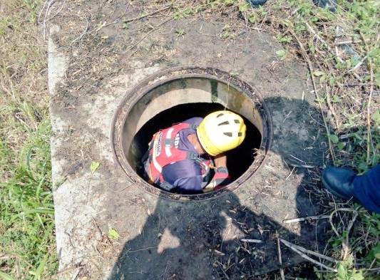 Rescatan a perro que cae en una alcantarilla