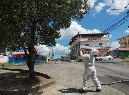 Bomberos atienden 635 casos de ataques de abejas africanizadas