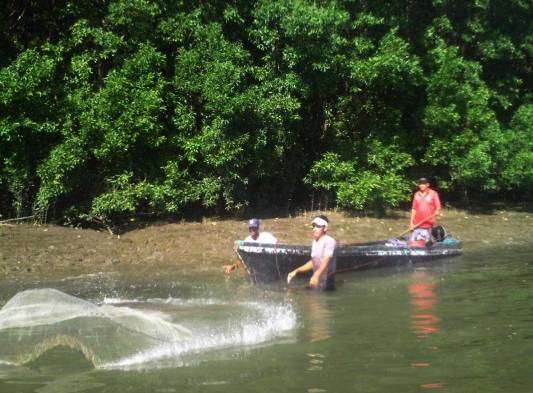 Botes de 20 pies han sido chocados por otras naves.