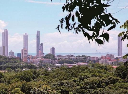 Parques de la ciudad se unen a reto mundial para contar fauna y flora