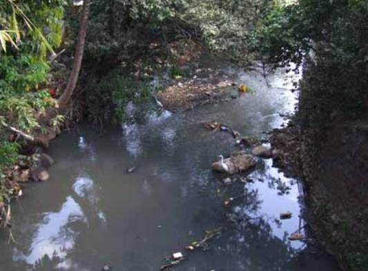 Los desechos de basuras son los principales contaminante de los ríos a nivel mundial.