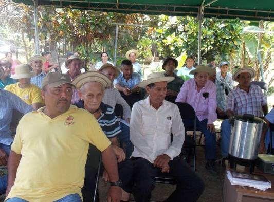Ganaderos se quejan por la poca vigilancia en el distrito de Mariato.