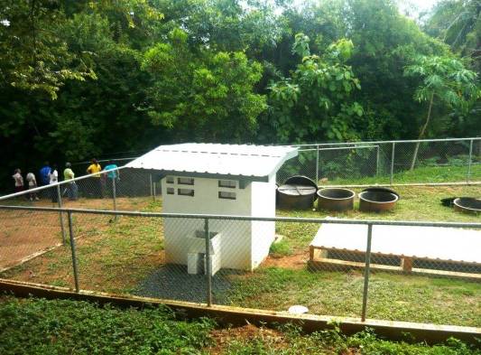 Las familias que viven cerca donde se dio el colapso del sistema de tratamiento de aguas servidas no aguantan la hediondez.