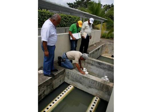 MINSA encuentra anomalías en el Xtra de Vista Alegre