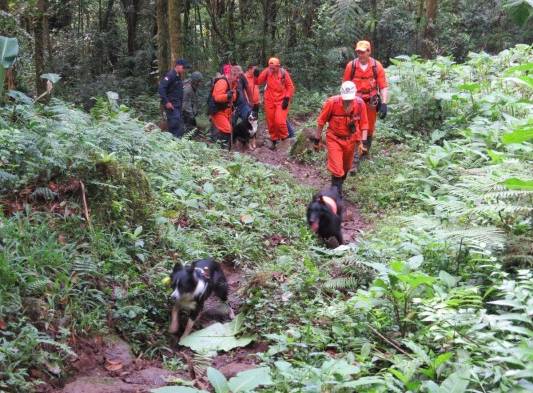 Bloque de búsqueda de los extranjeros recorren el sendero el Pianista la mañana de ayer, miércoles.