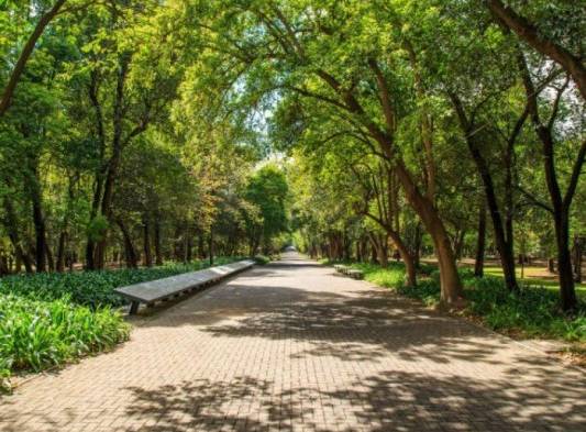 El centenario bosque mexicano de Chapultepec exhibe los paisajes de Ecuador