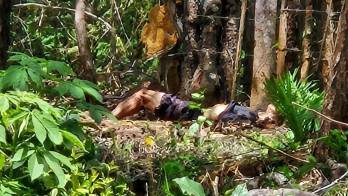 Se desconoce la identidad de la persona hallada muerta en el sector de Las Lomas