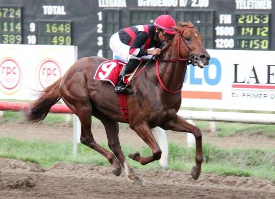 ‘Dr. Moon’ retará a ‘Smart Dna’ y ‘Sun River Jet’.