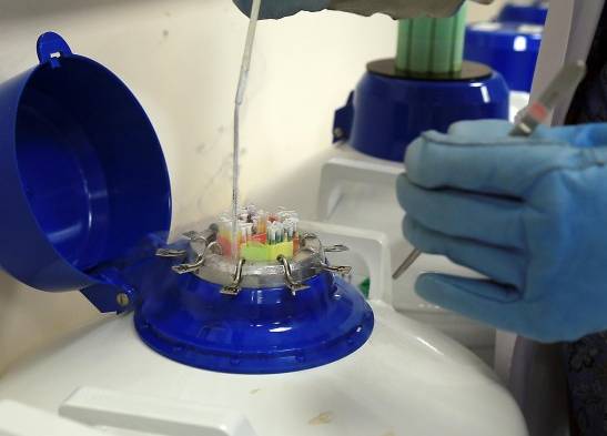 En la imagen de archivo, un banco de semen.