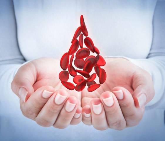 Día Mundial de la Hemofilia: Acceso a tratamientos innovadores son fundamentales