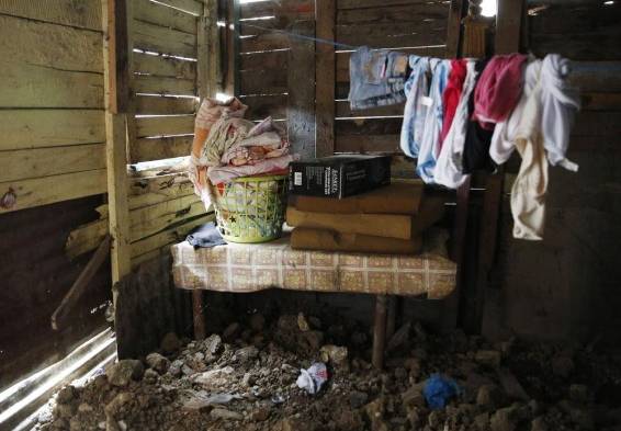 Pequeño lucha, pese a sus adversidades