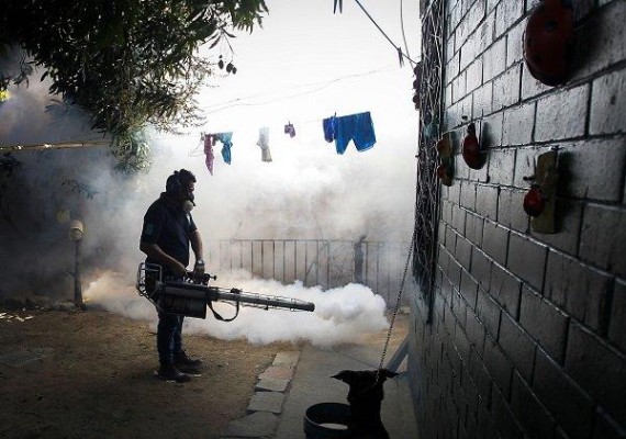 Se han detectado brotes en Cabo Verde y Guinea Bissau.