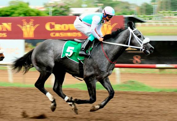 ‘Sol Príncipe Gris’, ya sacrificado, fue el último ganador.