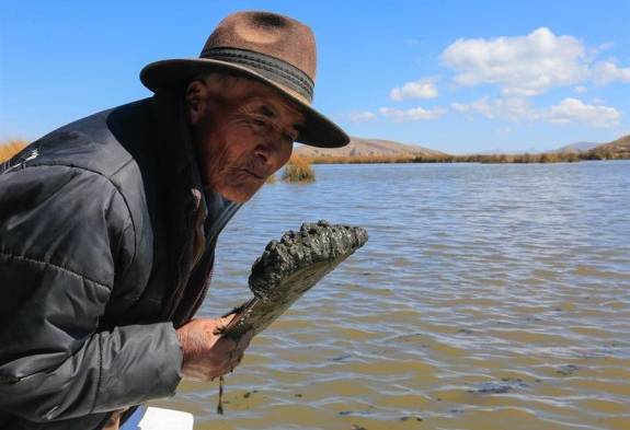 La muerte lenta del Titicaca, el lago sagrado de Los Andes