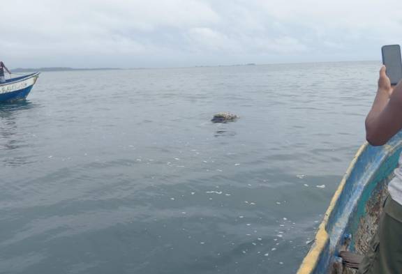 El día de la tragedia el hombre llevaba a su esposa para que diera a luz a un hospital.
