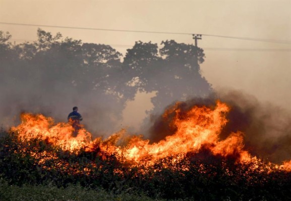 Grecia: se han encontrado 27 cuerpos durante los incendios en zona boscosa ​