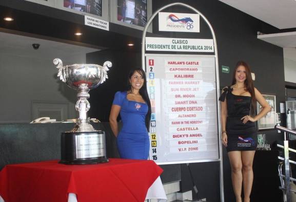 Tablero donde se muestran los 14 participantes y su carril de partida en el Presidente de la República.