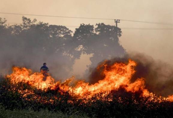 Grecia: se han encontrado 27 cuerpos durante los incendios en zona boscosa ​