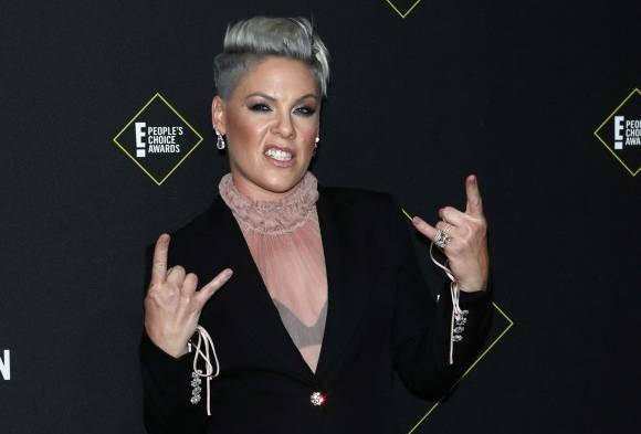 La cantante Pink dona libros prohibidos en sus concierto en Florida