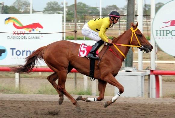 ‘Dicky’s Angel’ ganó el titulo de Caballo del Año 2013