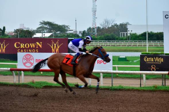 ‘Jaque Doble’ domina el clasificatorio al Clásico Dama del Caribe