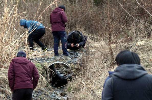 Cientos de personas escrutan colinas y campos de arroz en busca de meteoritos cerca de la sureña ciudad de Jinju, Corea del Sur.