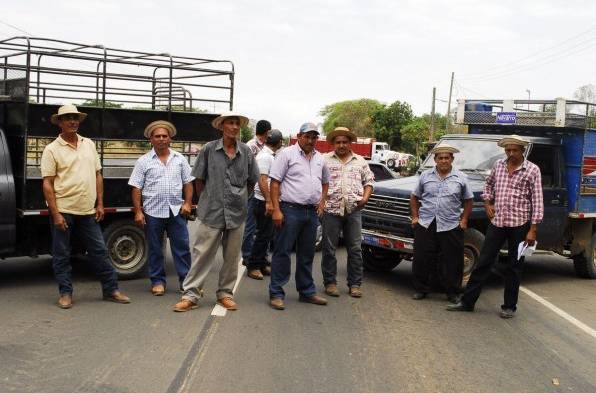 Tienen 10 mil quintales de maíz sin comprador.