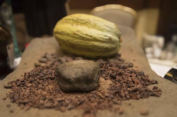 Centroamérica cuenta con una nueva estrategia de relevo generacional del cacao