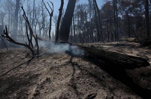 ¡Alerta global! El mundo vive su periodo más caliente en 2 mil años