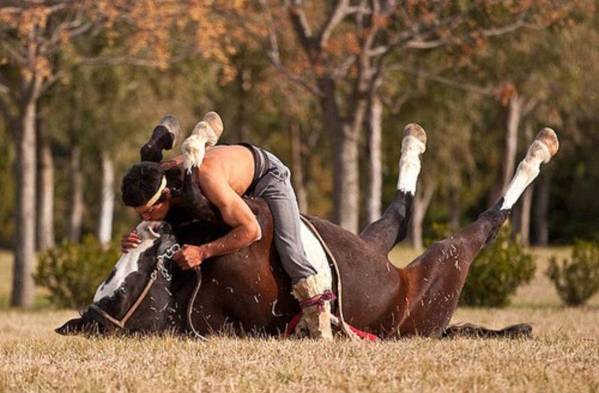 Yoga para domar caballos