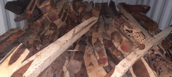 Tucas incautadas tienen un precio en el mercado internacional de un millón cien mil dólares.