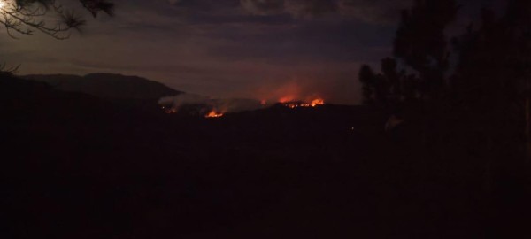 Fuego de masa vegetal consume varias hectáreas de la Reserva Forestal La Yeguada