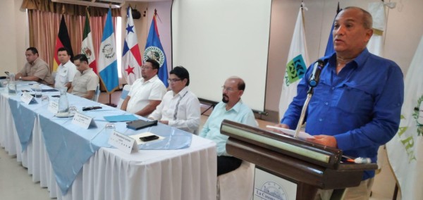 Panamá une esfuerzos regionales para proteger la selva Maya