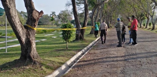 Inicia exhumación de los no reconocidos tras la invasión de EEUU en Panamá