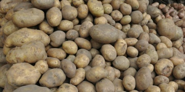 Control de Alimentos  aclara que no ha autorizado al mercado nacional papas vencidas