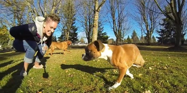 El perro canguro