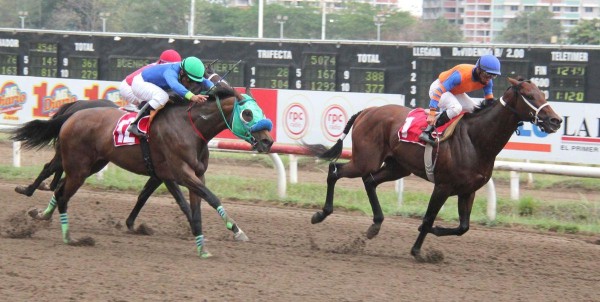 ‘Chateau Royal’ ganó su primer evento clásico y devolvió $ 72.20