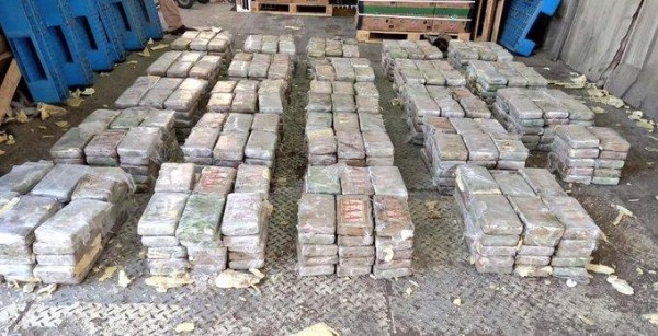 Decomisan droga procedente de Ecuador en un puerto del Caribe de Panamá