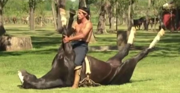 Yoga para domar caballos