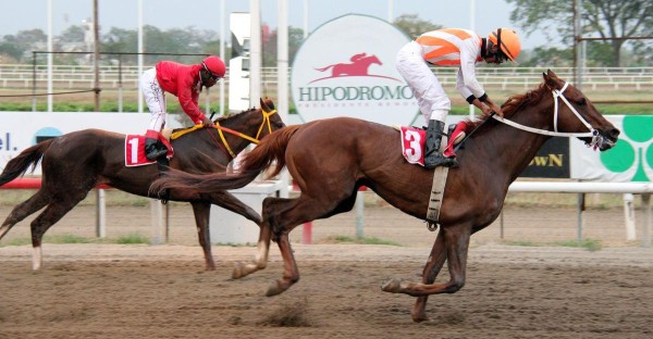 Smart Dna, la experiencia.