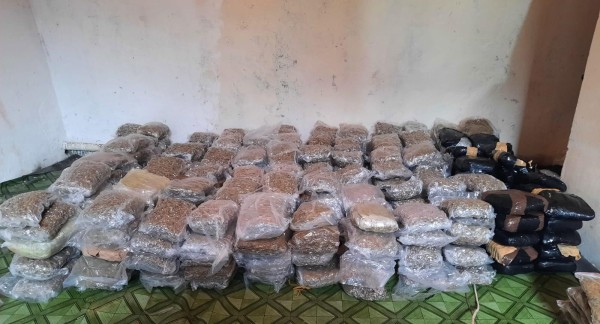 Pareja tenía 'guardadita' más de 300 paquetes de droga 