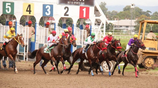 12 ejemplares irán en busca de su primera victoria clásica.
