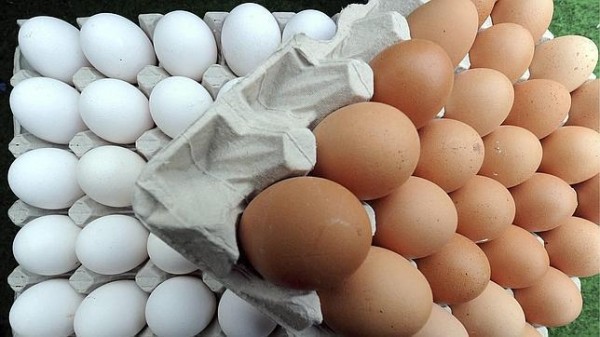 Hoy es el Día del Huevo ¿Por qué debemos preferir los orgánicos?