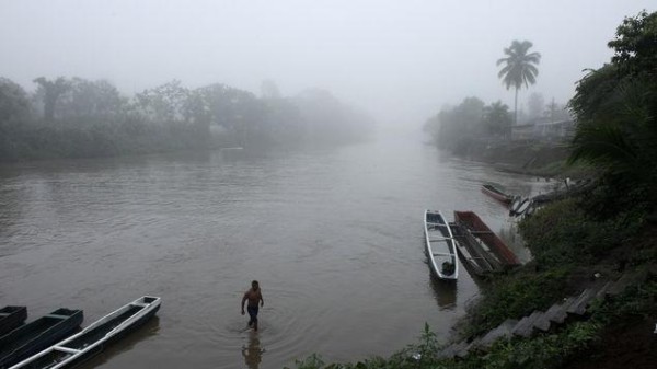 Deforestación en Panamá amenaza corredor biológico americano