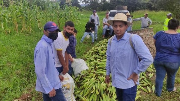 Futuros bachilleres agropecuarios con más chance de entrar a mercado laboral