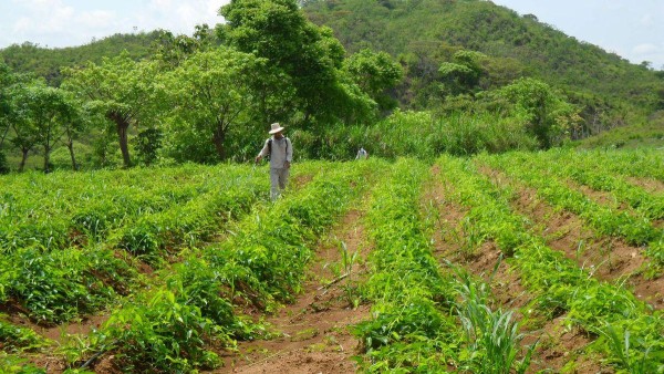 Listos para sembrar.