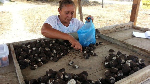 Deyanira Pérez empezó vendiendo la docena a 20 centavos y ahora está a $1.50.