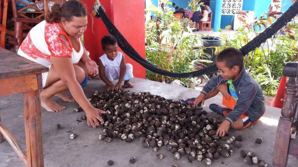 Desde tempranas horas adultos y niños realizan las labores de limpieza de las almejas