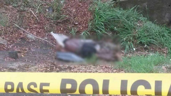 Encuentran cadáver sin documentos en el Corredor Norte