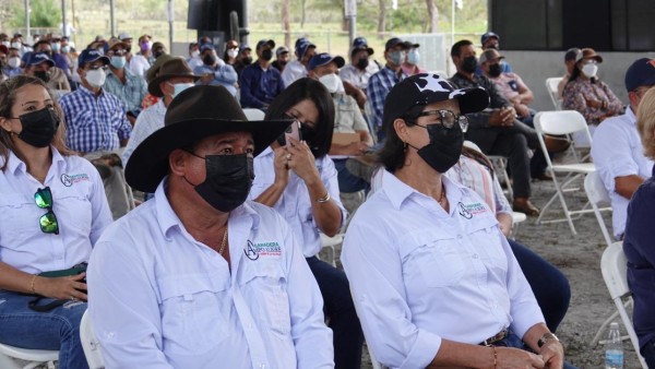 Saldo de cartera agropecuaria de Banco Nacional llega a $611.8 millones 